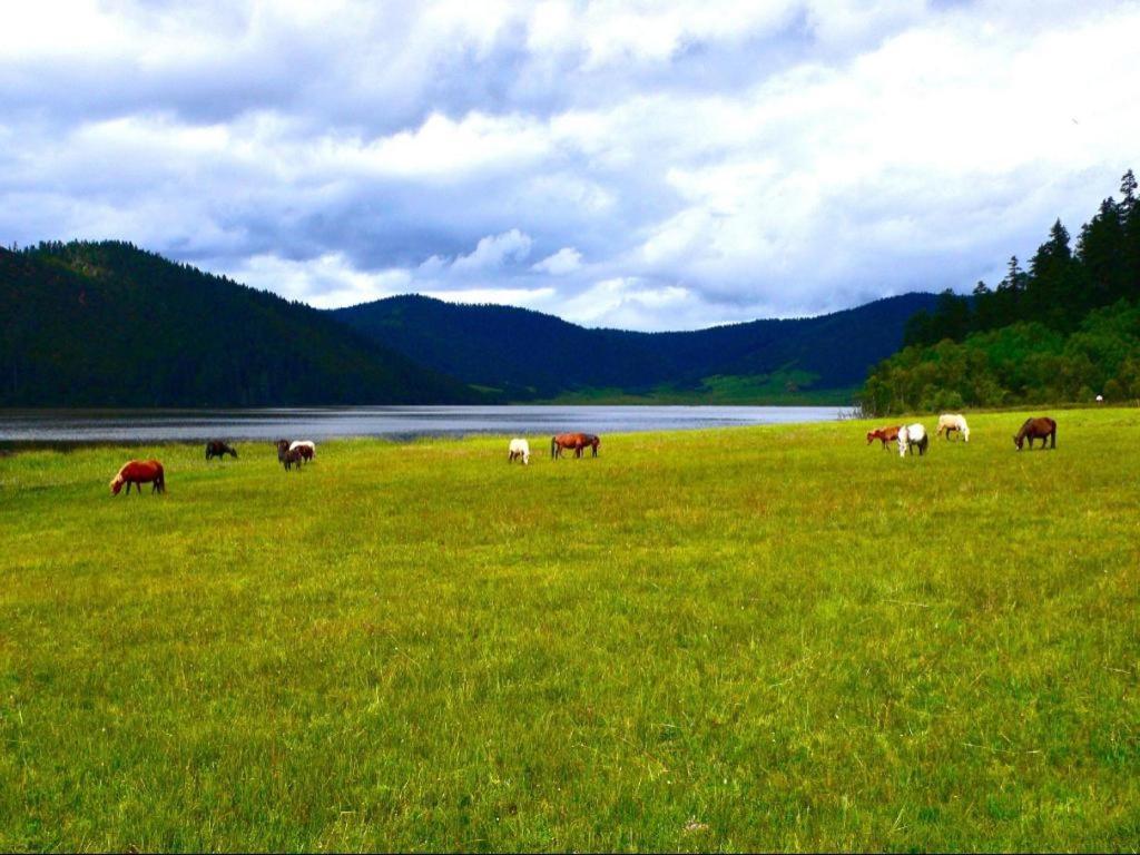 Songtsam Lvgu Lodge Shangri-La Bagian luar foto